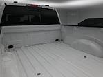 2024 Ford F-150 SuperCrew Cab 4x4 Pickup for sale #B246336 - photo 22