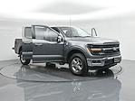 New 2024 Ford F-150 XLT SuperCrew Cab 4x4 Pickup for sale #B246492 - photo 39