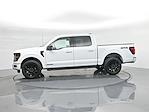 New 2025 Ford F-150 XLT SuperCrew Cab 4x4 Pickup for sale #B251443 - photo 34