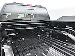 2025 Ford F-150 SuperCrew Cab 4x4 Pickup for sale #B251449 - photo 25