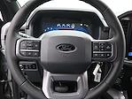 2025 Ford F-150 SuperCrew Cab 4x4 Pickup for sale #B251477 - photo 12