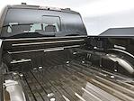 2025 Ford F-150 SuperCrew Cab 4x4 Pickup for sale #MB251493 - photo 25