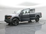 New 2025 Ford F-150 XLT SuperCrew Cab 4x4 Pickup for sale #B252003 - photo 5