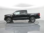 New 2025 Ford F-150 STX SuperCrew Cab 4x4 Pickup for sale #B252009 - photo 27