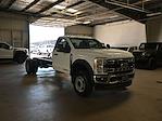 2025 Ford F-600 Regular Cab DRW 4x2 Cab Chassis for sale #B252058 - photo 3