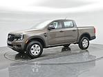 New 2025 Ford Ranger XL SuperCrew Cab Pickup for sale #B254294 - photo 24