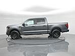 New 2025 Ford F-150 STX SuperCrew Cab Pickup for sale #B254467 - photo 27
