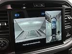 New 2025 Ford F-150 XLT SuperCrew Cab 4WD Pickup for sale #B254630 - photo 15
