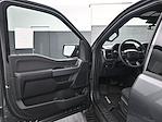 New 2025 Ford F-150 XLT SuperCrew Cab 4WD Pickup for sale #B254630 - photo 8