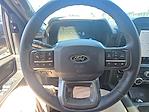 2024 Ford F-150 SuperCrew Cab 4x4 Pickup for sale #BP0361 - photo 15