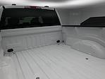 2023 Ford F-150 SuperCrew Cab 4WD Pickup for sale #BP0876 - photo 20