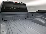 2024 Ford F-250 Crew Cab 4x4 Pickup for sale #MB242910 - photo 14