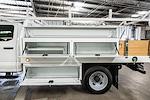 2024 Ford F-450 Crew Cab DRW 4x2 Cab Chassis for sale #MB243548 - photo 51