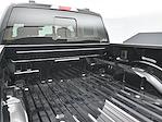 2024 Ford F-150 SuperCrew Cab 4x4 Pickup for sale #MB245774 - photo 12