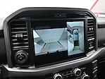 New 2025 Ford F-150 XLT SuperCrew Cab 4WD Pickup for sale #MB254543 - photo 17