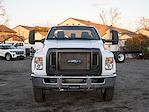 2025 Ford F-650 Regular Cab DRW RWD Cab Chassis for sale #MB255474 - photo 3