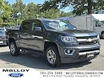 2019 Chevrolet Colorado Crew Cab 4WD Pickup for sale #25402C - photo 1