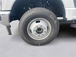 2024 Ford F-350 Regular Cab DRW 4WD Cab Chassis for sale #PC4207 - photo 9