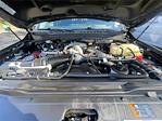 2023 Ford F-350 Crew Cab DRW 4WD Pickup for sale #PC4266 - photo 20
