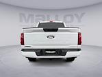 2024 Ford F-150 SuperCrew Cab 4WD Pickup for sale #PC4309 - photo 4