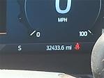 2024 Ford F-350 Crew Cab DRW 4x4 Pickup for sale #58319X - photo 21