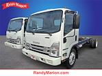New 2025 Isuzu NRR Regular Cab Cab Chassis for sale #IZ2063 - photo 1