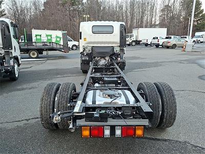 New 2026 Isuzu NPR Crew Cab Cab Chassis for sale #IZ2342 - photo 2