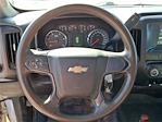 2019 Chevrolet Silverado 5500 Crew Cab DRW RWD Cab Chassis for sale #TR91746A - photo 14