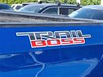 2023 Chevrolet Silverado 1500 Crew Cab 4x4 Pickup for sale #TR92437A - photo 33