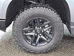 2025 Chevrolet Silverado 1500 Crew Cab 4WD Pickup for sale #TR93019A - photo 24