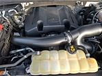 2020 Ford F-150 SuperCrew Cab 4WD Pickup for sale #TR93670A - photo 28