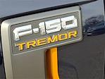 2022 Ford F-150 SuperCrew Cab 4WD Pickup for sale #TR93754A - photo 30