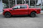 New 2025 Ford F-150 XLT SuperCrew Cab 4x4 Pickup for sale #F654 - photo 3