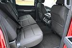 New 2025 Ford F-150 XLT SuperCrew Cab 4x4 Pickup for sale #F654 - photo 6