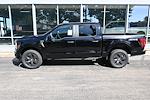 2025 Ford F-150 SuperCrew Cab 4x4 Pickup for sale #F683 - photo 24