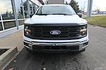 2025 Ford F-150 Regular Cab 4x2 Pickup for sale #G140 - photo 4