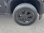 2020 Chevrolet Colorado Crew Cab 4x4 Pickup for sale #S08668 - photo 12