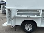 2025 Chevrolet Express 3500 Regular Cab RWD Reading Service Utility Van for sale #S10441S - photo 19