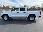 Used 2024 Chevrolet Colorado Work Truck Crew Cab for sale #C101057-1 - photo 3