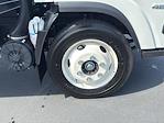 New 2025 Chevrolet LCF 4500 Regular Cab Box Truck for sale #C3748S - photo 10