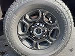 2024 Ford F-350 Crew Cab SRW 4x4 Pickup for sale #FN0467 - photo 6