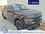 2025 Ford F-150 SuperCrew Cab 4WD Pickup for sale #FQ0338A - photo 1