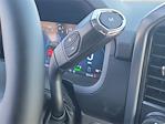 2024 Ford F-150 SuperCrew Cab 4x4 Pickup for sale #00240823 - photo 12