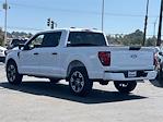 2024 Ford F-150 SuperCrew Cab 4x2 Pickup for sale #00241917 - photo 2
