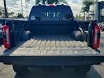 2024 Ford F-250 Crew Cab 4x4 Pickup for sale #00241997 - photo 16