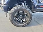 2024 Ford F-250 Crew Cab 4x4 Pickup for sale #00241997 - photo 18
