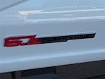 2025 Ford F-250 Crew Cab 4x4 Pickup for sale #00250158 - photo 17