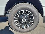 New 2025 Ford F-250 Platinum Crew Cab 4x4 Pickup for sale #00250197 - photo 18