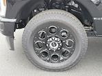 2025 Ford F-250 Crew Cab 4x4 Pickup for sale #00250231 - photo 25