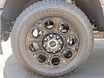 2025 Ford F-250 Crew Cab 4x4 Pickup for sale #00250355 - photo 21